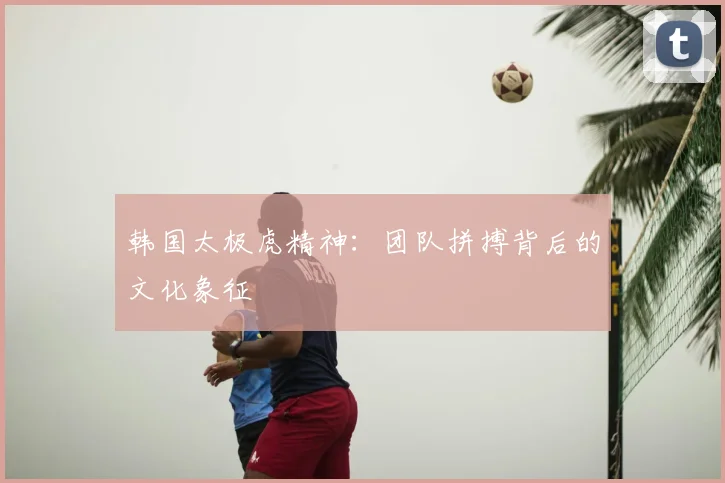 韩国太极虎精神:团队拼搏背后的文化象征