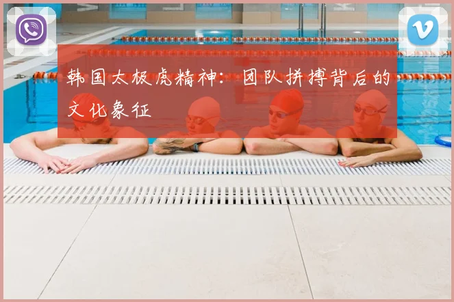 韩国太极虎精神：团队拼搏背后的文化象征